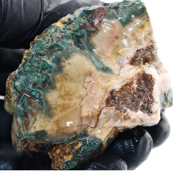 3.38oz Idaho Sunset Lone Juniper Jasper Agate Rough Raw Natural Rare Low Stock